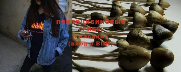 кокаин колумбия Михайлов