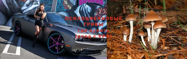 гашиш Алзамай