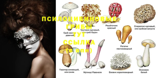 каннабис Алексеевка